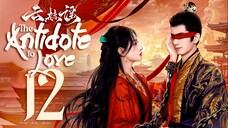 [WeTV] EP12/24 The Antidote to Love (2025) [1080p] [Everyday | 12nn]