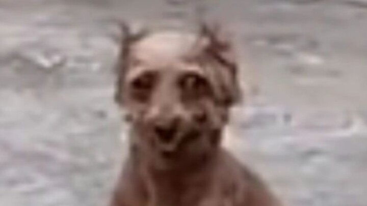 Profil Tokoh Internet Episode 27: Kakak MoMo