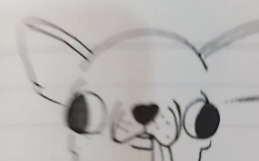 ชิวาวา~~~