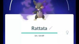 Pokémon GO-Purifying Shadow Alolan Rattata