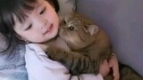 [Animals]Cute moments of babies and cats in daily life