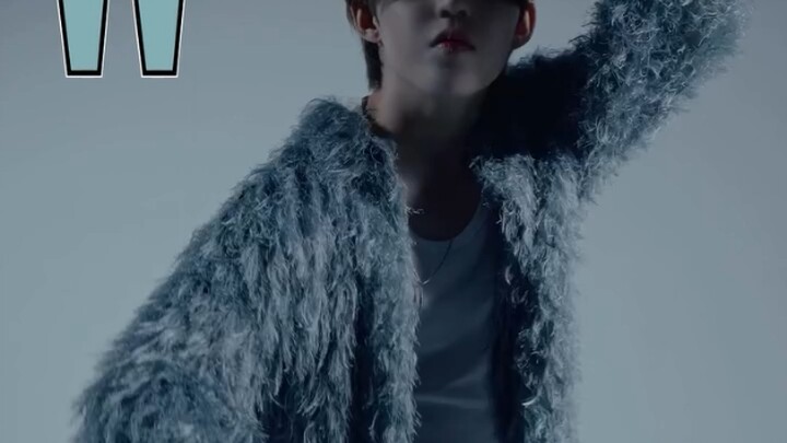 240923 SEVENTEEN Choi Seungcheol S.COUPS Lee Chan DINO wkorea trạm không