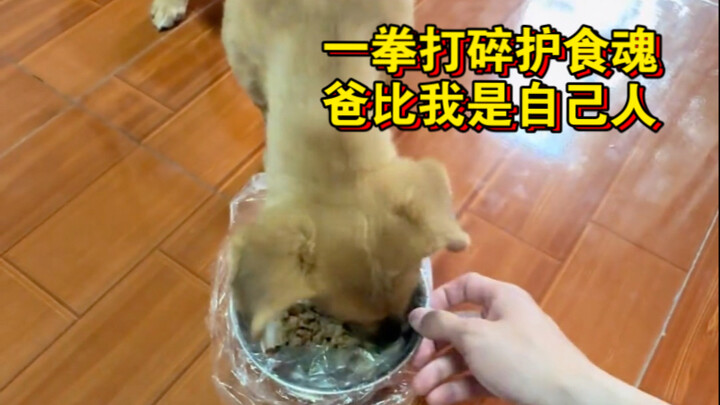 Một cú đấm tan nát Hồn Bảo Thức, bố ơi con là người một nhà!