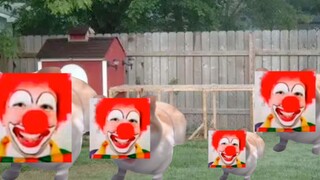 clown农舍