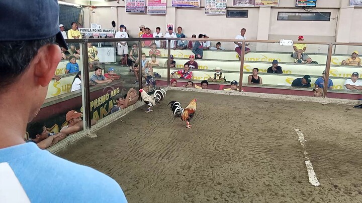 fastest kill 19 seconds walng nakuha 17 seconds ang huling nkakuha ng premyo tama ba syentensya?