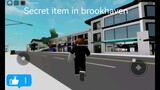 Secret item in brookhaven
