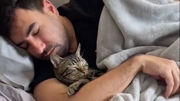 แมว: คุณรบกวนพวกเราแล้วนะ!