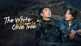 TWOT (2025) Episode 7 || MRH MOVIES