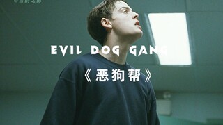 千万不要欺负老实人，不然你连道歉的机会都没有。
