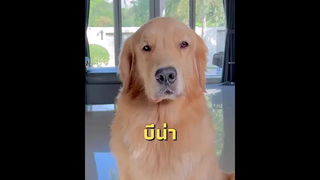 นางแบบนิ่งมาก😁🥰🥰