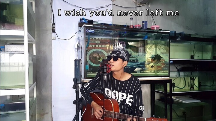 I'll Always love you w/Lyrics ( Aquarman cover ) by Micheal Johnson