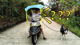 Dắt chó đi dạo bằng xe máy!