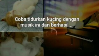 Musik Untuk Tenang Supaya Nyenyak Tidur No Copyright