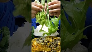 MAKAN BATANG PEPAYA MENTAH ENAK BANGET