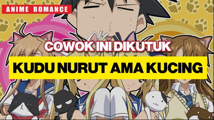 COWOK INI DAPET HAREM GARA-GARA KUTUKAN!!