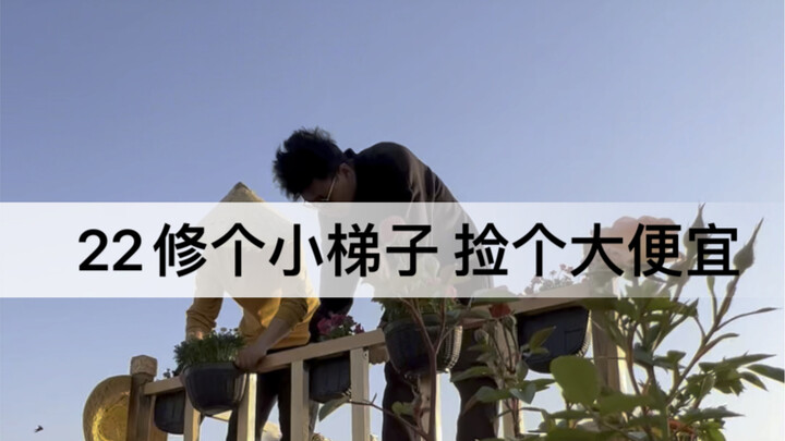 Day 22 of renovating the old ship: We’ve fixed the ladder leading to the sky garden, and then unexpe