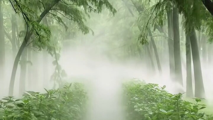 Inilah yang sebenarnya disebut "Kabut dan Hujan di Jiangnan"!