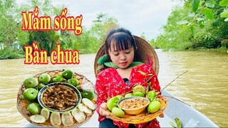 Nàng Út Ống Tre thử thách chèo xuồng hái trái bần ăn mắm cá linh sống || Mắm cá linh sống