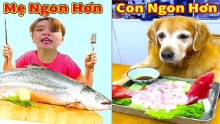 Thú Cưng TV | Gâu Đần và Bà Mẹ #63 | Chó Golden Gâu Đần thông minh vui nhộn | Pets cute smart dog