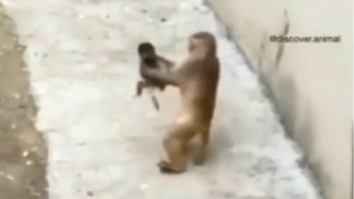 Pusaran besar Ma Lou, berapa banyak orang yang juga pernah mengalaminya saat kecil