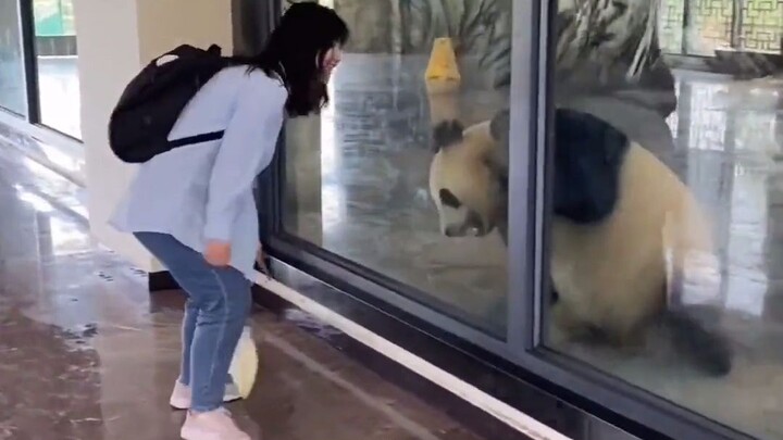 These tickets are a total win—panda’s immersive 1v1 gaming buddy experience!