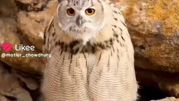 আল্লাহ সর্বশক্তিমান