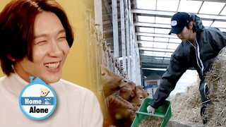 Ji Hyun Woo Prepares Breakfast for the Cattle [Home Alone Ep 329]