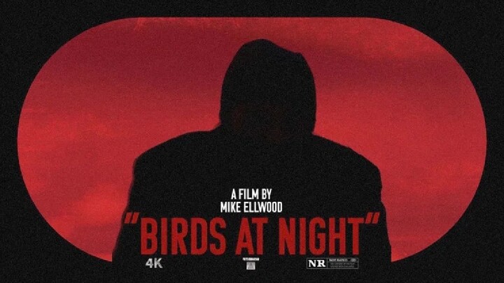 Birds at Night 2024 SUB INDO