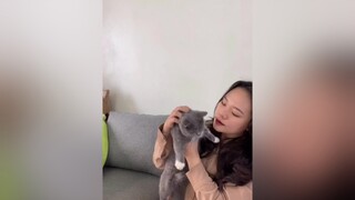 Rận tai rồi ai cũng gặp mèocute LearnOnTikTok meow meomeo cat mèo meohay tiktok