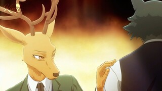 Beastars「AMV」Cannibal