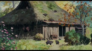 Pom Poko - Watch, Like and Follow Guys!