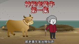 神秘老黄牛1