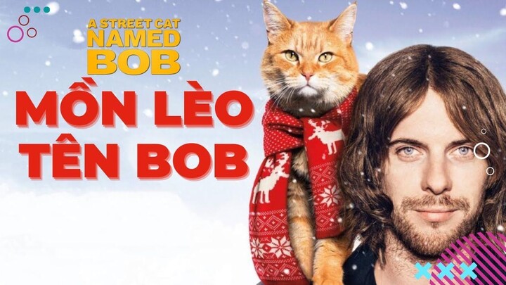 Chiếc phim kỉ niệm năm con Mòe | Chú mèo đường phố tên Bob