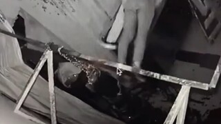 战斗民族如何玩密室逃脱