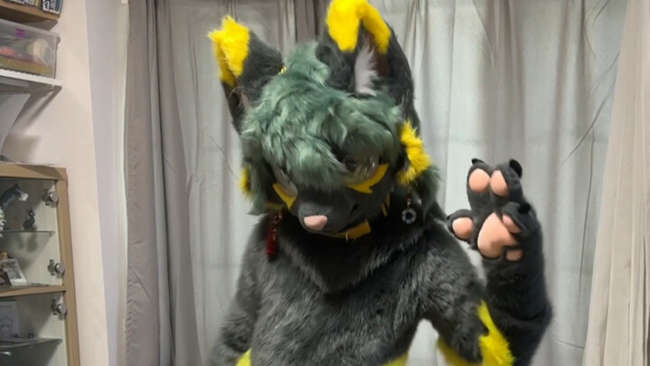 What is this? A super huge black cat! Take a puff.