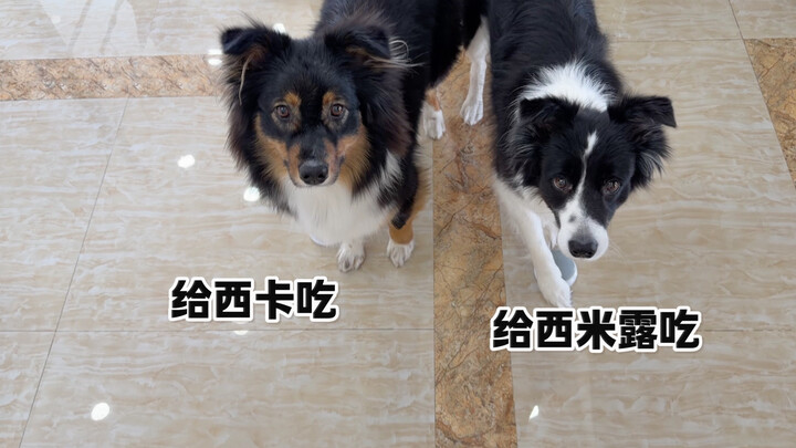 วันนี้เป็นวันให้อาหารกันและกัน～