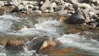 cast netting in Nepal | himalayan trout fishing with handmade cast net |