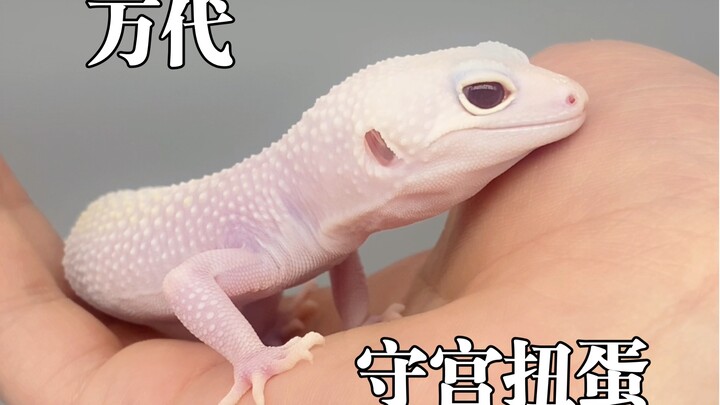 Kondisi mental normal hahaha  Gashapon koleksi ilustrasi lengkap tokoh Bio‑Hazard Bandai, tokoh toke