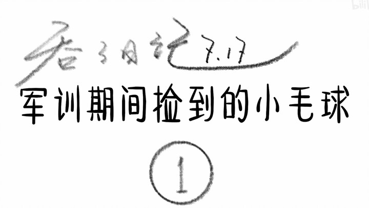 1. Tuntun's Diary - When a Bird Appears in Your University Life