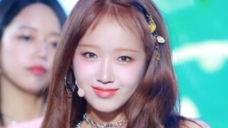 Penampilan panggung perdana lagu debut solo Park Ji-young "Sunflower (P.E.L)" dirilis!