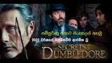 Fantastic Beasts the Secret of Dumbledore | Sinhala Movie Review | සම්පූර්ණ කතාව සිංහලෙන් බලමු