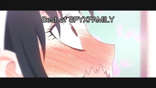 Best of SPYXFAMILY