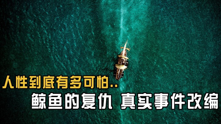 残忍，一段从不被提起的捕鲸往事，巨鲸报复人类，人类只能食同伴