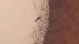 من الصعب حقًا أن تأكل بشكل فوضوي