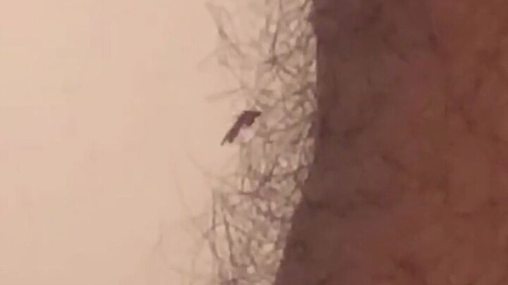 การกินอาหารแบบผสมมันไม่ง่ายเลย