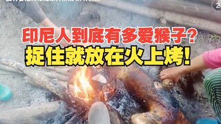 How much do Indonesians really love monkeys? They catch them and roast them over a fire!