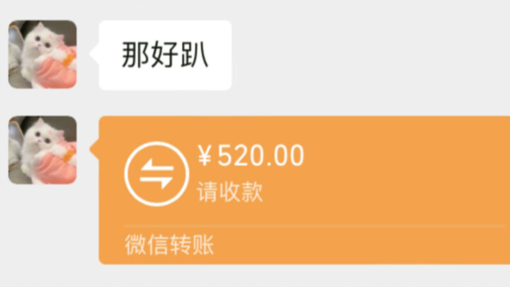 I've never met such a clumsy girl before...