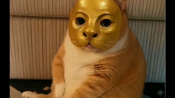 Come join rov time 12.00-02.00Pm with mee