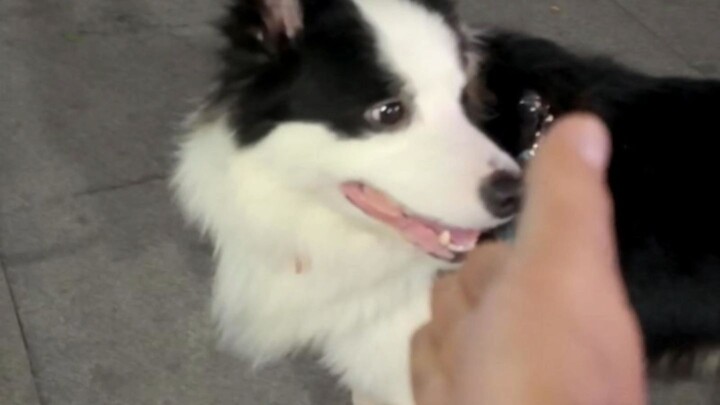 Rumah runtuh? Hanya kontras saja.