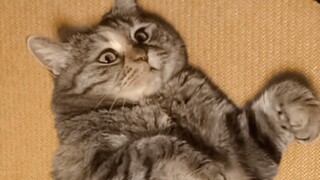 欢迎来到毛肚皮按摩养生馆